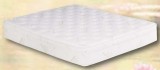 Essex Shallow Fill 10 inch softside waterbed mattress
