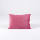 Bright colorful and waterproof KIDZ beds standard size pillow